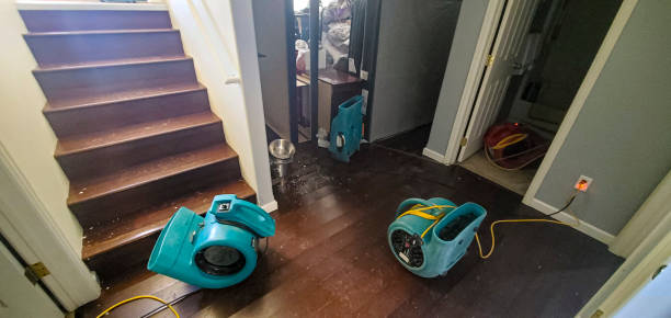 Best 24-hour water damage restoration  in Franklin, MI