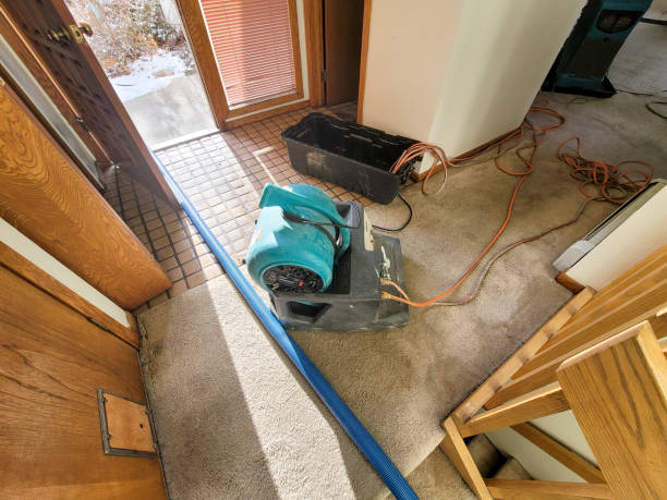 Best Flood restoration services  in Franklin, MI