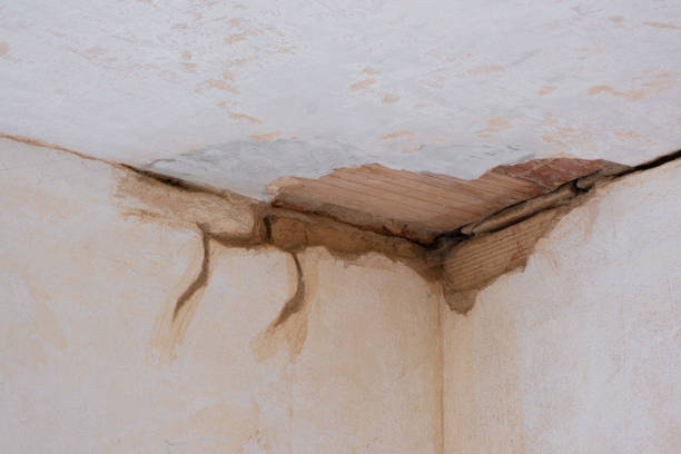 Best Water damage contractors near me  in Franklin, MI