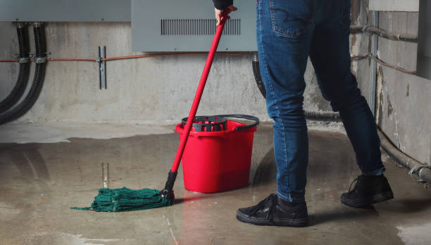 Best Fire Damage Restoration  in Franklin, MI