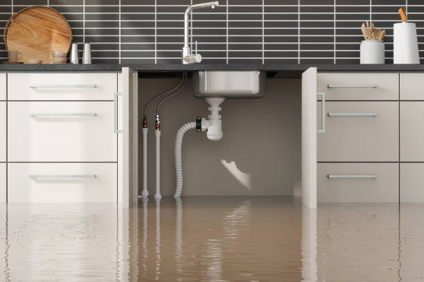 Best Commercial water damage restoration  in Franklin, MI