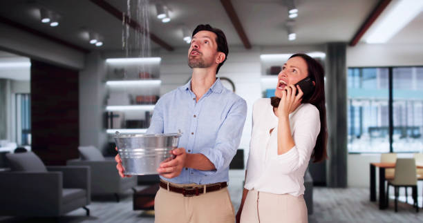 Best Ceiling water damage repair  in Franklin, MI